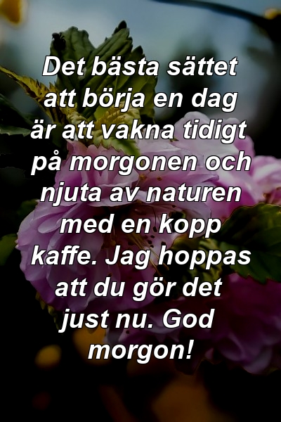 Det bästa sättet att börja en dag är att vakna tidigt på morgonen och njuta av naturen med en kopp kaffe. Jag hoppas att du gör det just nu. God morgon!