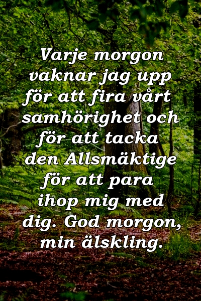 Varje morgon vaknar jag upp för att fira vårt samhörighet och för att tacka den Allsmäktige för att para ihop mig med dig. God morgon, min älskling.