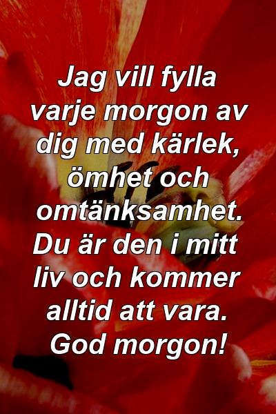 Jag vill fylla varje morgon av dig med kärlek, ömhet och omtänksamhet. Du är den i mitt liv och kommer alltid att vara. God morgon!