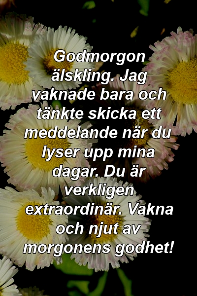 Godmorgon älskling. Jag vaknade bara och tänkte skicka ett meddelande när du lyser upp mina dagar. Du är verkligen extraordinär. Vakna och njut av morgonens godhet!