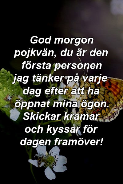 God morgon pojkvän, du är den första personen jag tänker på varje dag efter att ha öppnat mina ögon. Skickar kramar och kyssar för dagen framöver!