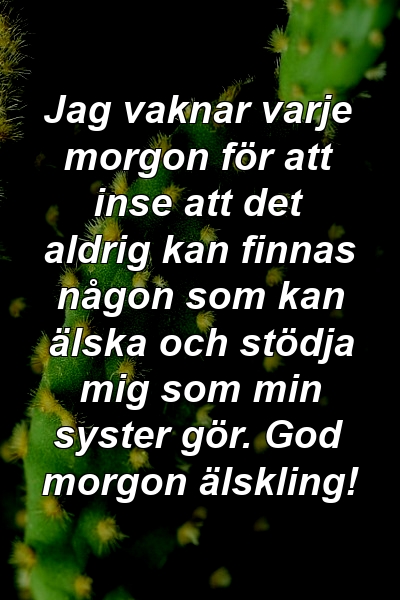 Jag vaknar varje morgon för att inse att det aldrig kan finnas någon som kan älska och stödja mig som min syster gör. God morgon älskling!