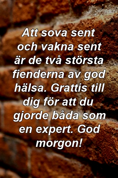 Att sova sent och vakna sent är de två största fienderna av god hälsa. Grattis till dig för att du gjorde båda som en expert. God morgon!