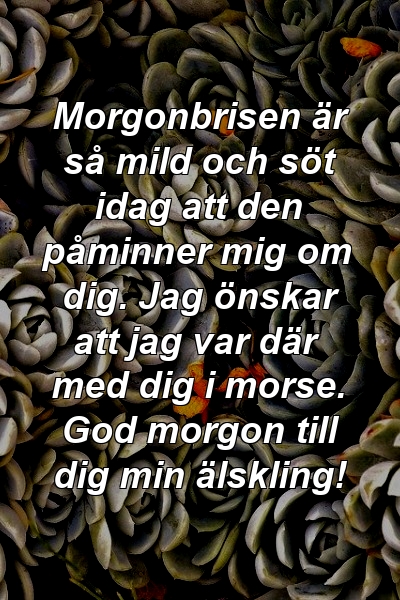 Morgonbrisen är så mild och söt idag att den påminner mig om dig. Jag önskar att jag var där med dig i morse. God morgon till dig min älskling!