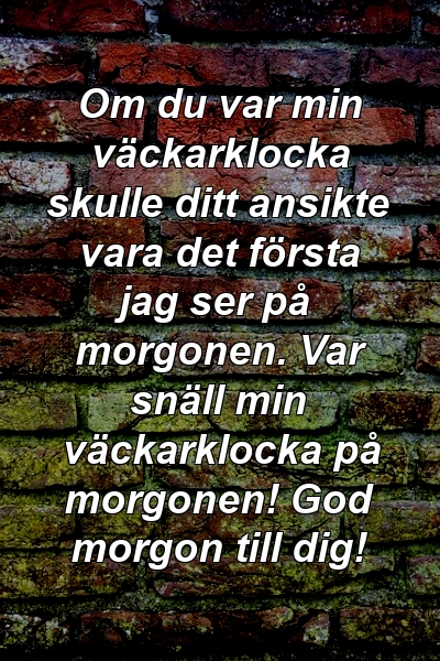 Om du var min väckarklocka skulle ditt ansikte vara det första jag ser på morgonen. Var snäll min väckarklocka på morgonen! God morgon till dig!