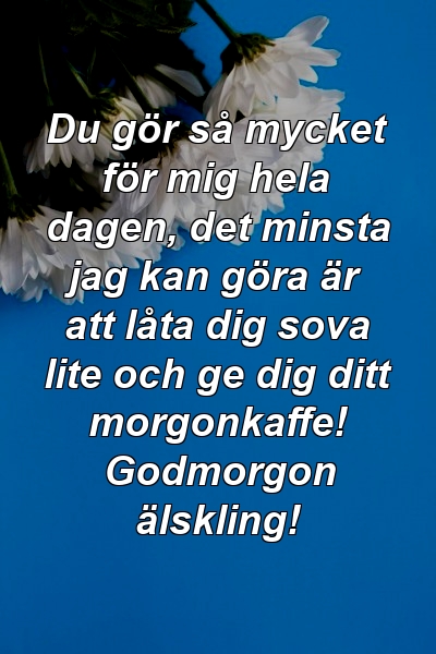 Du gör så mycket för mig hela dagen, det minsta jag kan göra är att låta dig sova lite och ge dig ditt morgonkaffe! Godmorgon älskling!