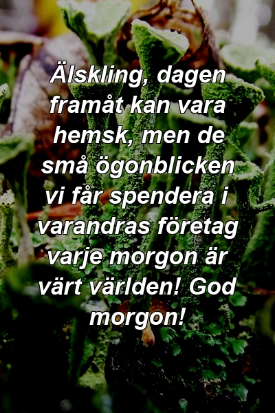 Älskling, dagen framåt kan vara hemsk, men de små ögonblicken vi får spendera i varandras företag varje morgon är värt världen! God morgon!