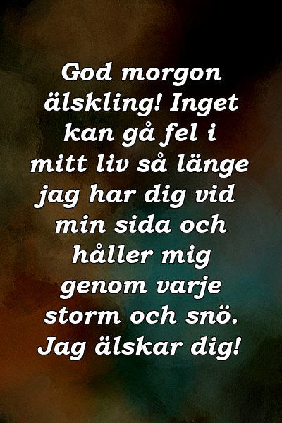 God morgon älskling! Inget kan gå fel i mitt liv så länge jag har dig vid min sida och håller mig genom varje storm och snö. Jag älskar dig!