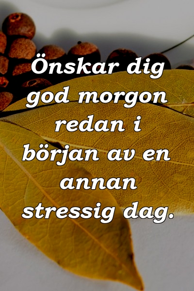 Önskar dig god morgon redan i början av en annan stressig dag.