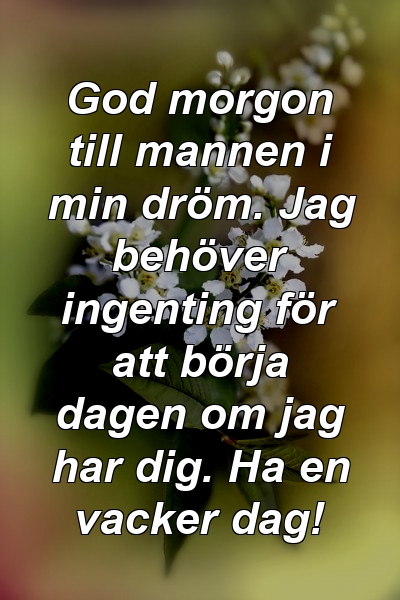 God morgon till mannen i min dröm. Jag behöver ingenting för att börja dagen om jag har dig. Ha en vacker dag!