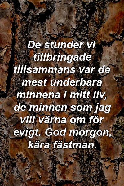 De stunder vi tillbringade tillsammans var de mest underbara minnena i mitt liv, de minnen som jag vill värna om för evigt. God morgon, kära fästman.