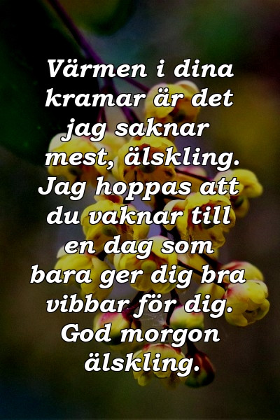 Värmen i dina kramar är det jag saknar mest, älskling. Jag hoppas att du vaknar till en dag som bara ger dig bra vibbar för dig. God morgon älskling.