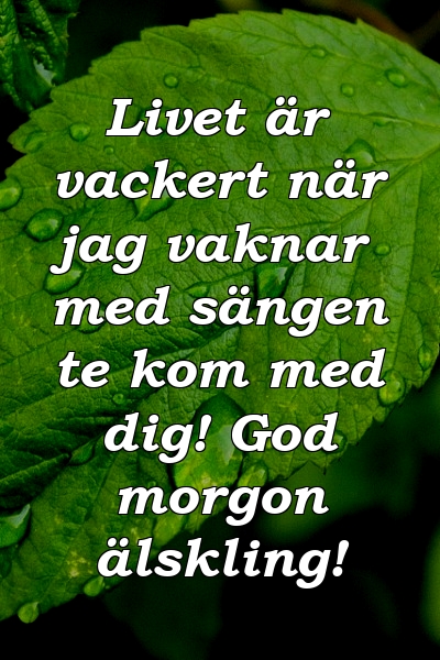 Livet är vackert när jag vaknar med sängen te kom med dig! God morgon älskling!