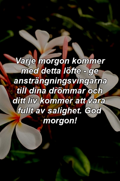 Varje morgon kommer med detta löfte - ge ansträngningsvingarna till dina drömmar och ditt liv kommer att vara fullt av salighet. God morgon!