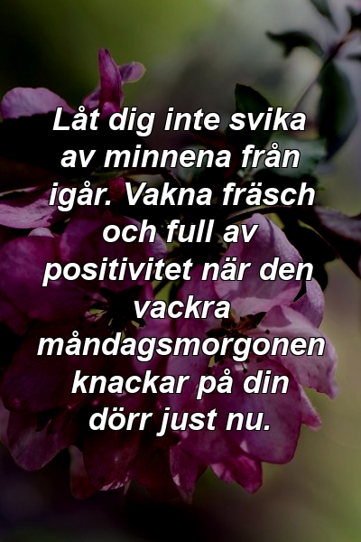 Låt dig inte svika av minnena från igår. Vakna fräsch och full av positivitet när den vackra måndagsmorgonen knackar på din dörr just nu.