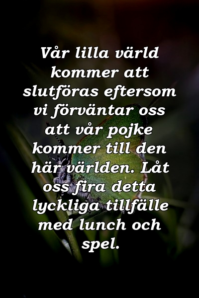 Vår lilla värld kommer att slutföras eftersom vi förväntar oss att vår pojke kommer till den här världen. Låt oss fira detta lyckliga tillfälle med lunch och spel.