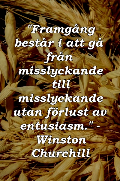 "Framgång består i att gå från misslyckande till misslyckande utan förlust av entusiasm." - Winston Churchill