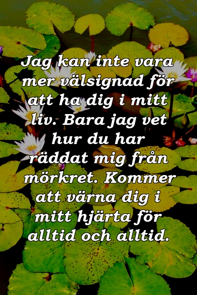 Jag kan inte vara mer välsignad för att ha dig i mitt liv. Bara jag vet hur du har räddat mig från mörkret. Kommer att värna dig i mitt hjärta för alltid och alltid.