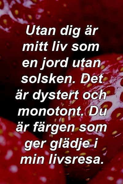 Utan dig är mitt liv som en jord utan solsken. Det är dystert och monotont. Du är färgen som ger glädje i min livsresa.