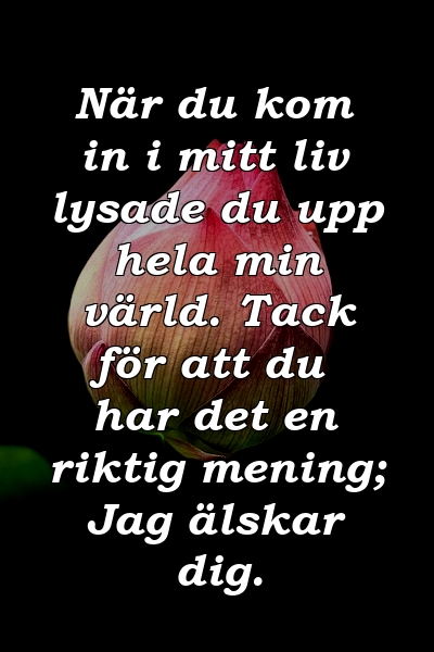 När du kom in i mitt liv lysade du upp hela min värld. Tack för att du har det en riktig mening; Jag älskar dig.