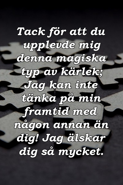 Tack för att du upplevde mig denna magiska typ av kärlek; Jag kan inte tänka på min framtid med någon annan än dig! Jag älskar dig så mycket.