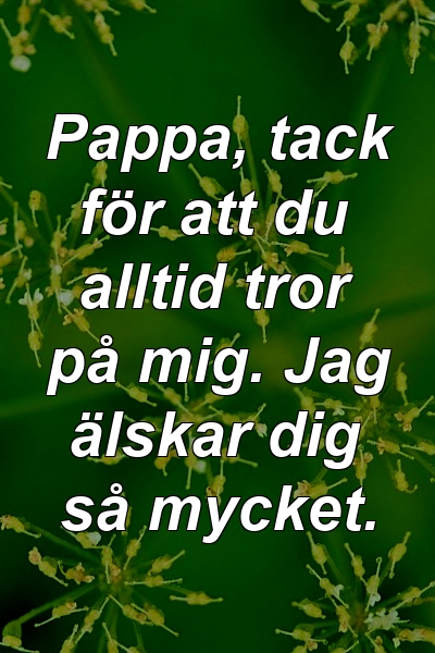 Pappa, tack för att du alltid tror på mig. Jag älskar dig så mycket.