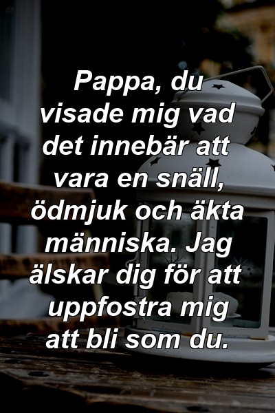 Pappa, du visade mig vad det innebär att vara en snäll, ödmjuk och äkta människa. Jag älskar dig för att uppfostra mig att bli som du.