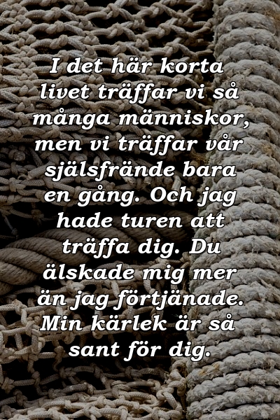 I det här korta livet träffar vi så många människor, men vi träffar vår själsfrände bara en gång. Och jag hade turen att träffa dig. Du älskade mig mer än jag förtjänade. Min kärlek är så sant för dig.