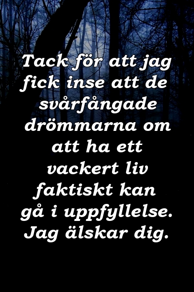 Tack för att jag fick inse att de svårfångade drömmarna om att ha ett vackert liv faktiskt kan gå i uppfyllelse. Jag älskar dig.