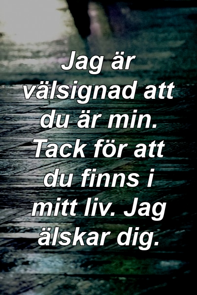 Jag är välsignad att du är min. Tack för att du finns i mitt liv. Jag älskar dig.