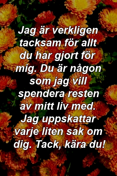 Jag är verkligen tacksam för allt du har gjort för mig. Du är någon som jag vill spendera resten av mitt liv med. Jag uppskattar varje liten sak om dig. Tack, kära du!