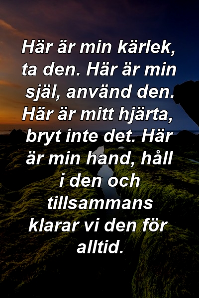 Här är min kärlek, ta den. Här är min själ, använd den. Här är mitt hjärta, bryt inte det. Här är min hand, håll i den och tillsammans klarar vi den för alltid.