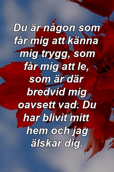 Du är någon som får mig att känna mig trygg, som får mig att le, som är där bredvid mig oavsett vad. Du har blivit mitt hem och jag älskar dig.