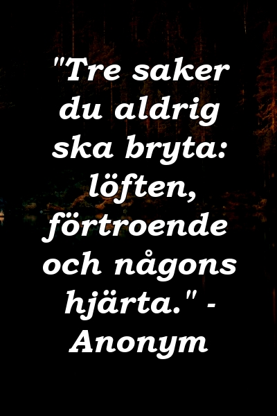 "Tre saker du aldrig ska bryta: löften, förtroende och någons hjärta." - Anonym