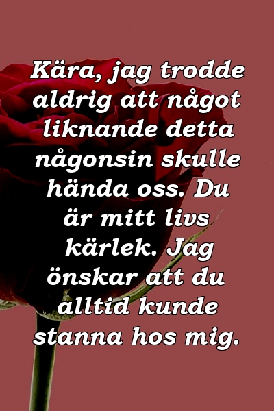 Kära, jag trodde aldrig att något liknande detta någonsin skulle hända oss. Du är mitt livs kärlek. Jag önskar att du alltid kunde stanna hos mig.