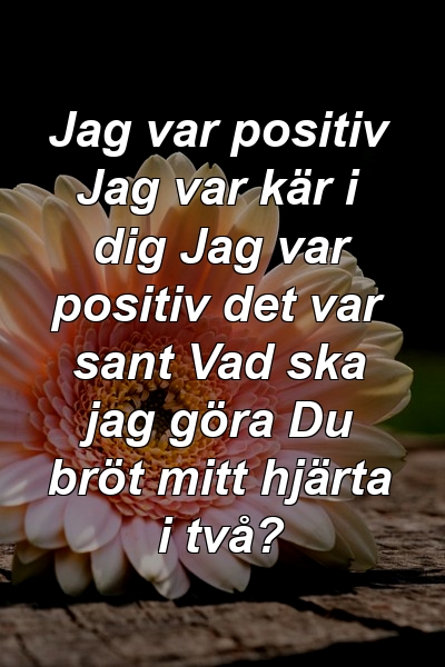 Jag var positiv Jag var kär i dig Jag var positiv det var sant Vad ska jag göra Du bröt mitt hjärta i två?