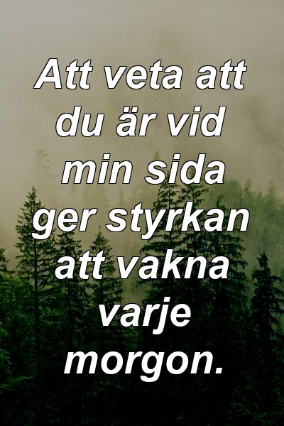 Att veta att du är vid min sida ger styrkan att vakna varje morgon.