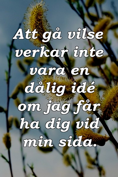 Att gå vilse verkar inte vara en dålig idé om jag får ha dig vid min sida.