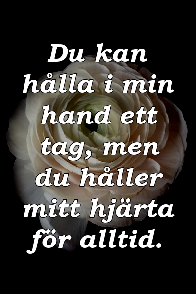 Du kan hålla i min hand ett tag, men du håller mitt hjärta för alltid.