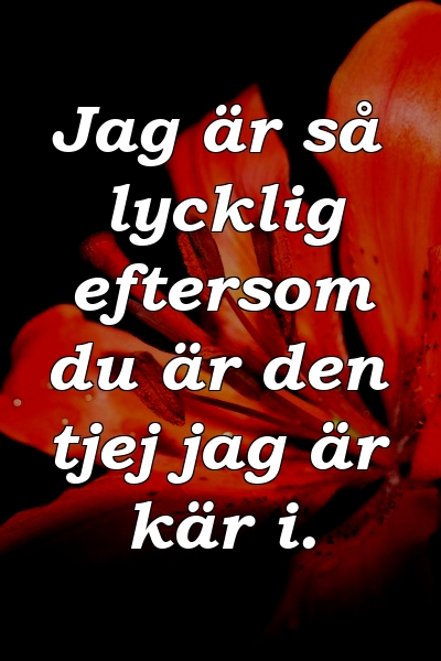 Jag är så lycklig eftersom du är den tjej jag är kär i.