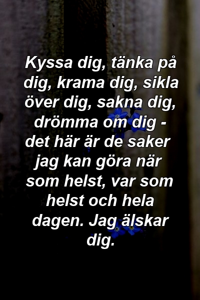 Kyssa dig, tänka på dig, krama dig, sikla över dig, sakna dig, drömma om dig - det här är de saker jag kan göra när som helst, var som helst och hela dagen. Jag älskar dig.