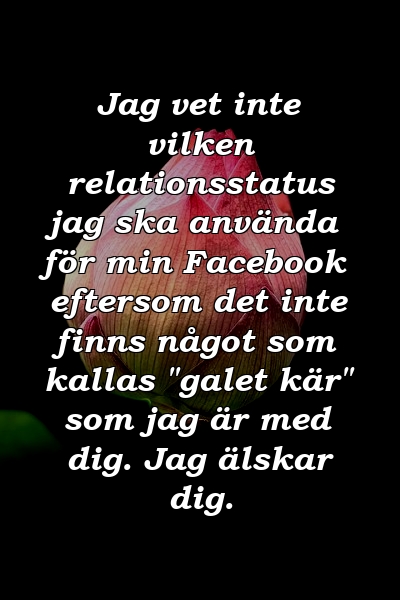 Jag vet inte vilken relationsstatus jag ska använda för min Facebook eftersom det inte finns något som kallas "galet kär" som jag är med dig. Jag älskar dig.