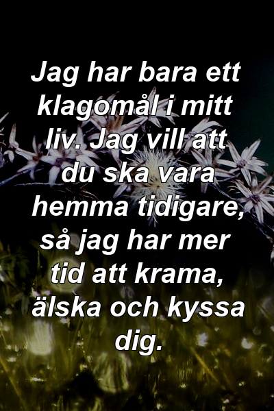 Jag har bara ett klagomål i mitt liv. Jag vill att du ska vara hemma tidigare, så jag har mer tid att krama, älska och kyssa dig.