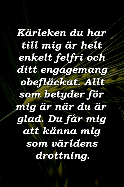 Kärleken du har till mig är helt enkelt felfri och ditt engagemang obefläckat. Allt som betyder för mig är när du är glad. Du får mig att känna mig som världens drottning.