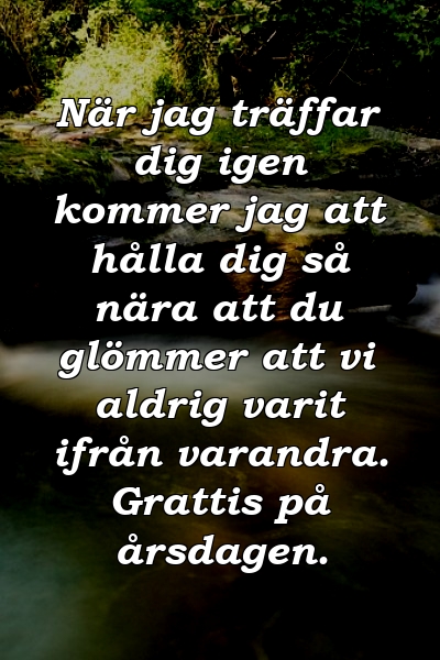 När jag träffar dig igen kommer jag att hålla dig så nära att du glömmer att vi aldrig varit ifrån varandra. Grattis på årsdagen.