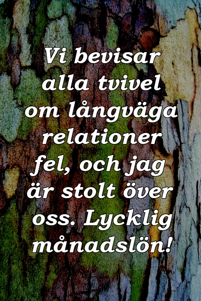 Vi bevisar alla tvivel om långväga relationer fel, och jag är stolt över oss. Lycklig månadslön!