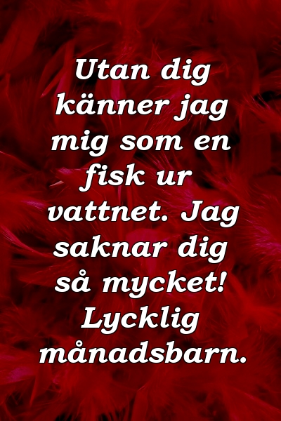 Utan dig känner jag mig som en fisk ur vattnet. Jag saknar dig så mycket! Lycklig månadsbarn.