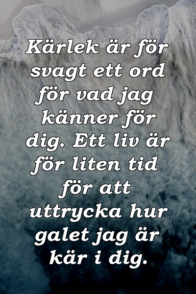 Kärlek är för svagt ett ord för vad jag känner för dig. Ett liv är för liten tid för att uttrycka hur galet jag är kär i dig.