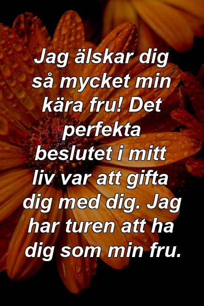 Jag älskar dig så mycket min kära fru! Det perfekta beslutet i mitt liv var att gifta dig med dig. Jag har turen att ha dig som min fru.