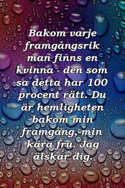 Bakom varje framgångsrik man finns en kvinna - den som sa detta har 100 procent rätt. Du är hemligheten bakom min framgång, min kära fru. Jag älskar dig.